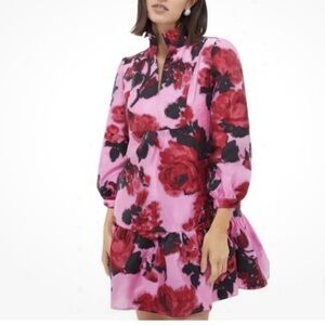 Tuckernuck Palmerston Dress Falling Roses Begonia Blossom XL